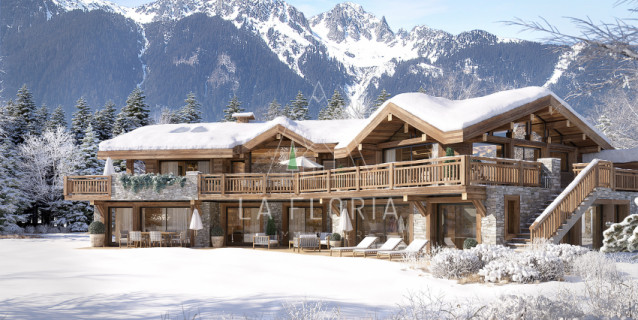 TERRAIN GAUDENAYS, CHAMONIX LES BOIS