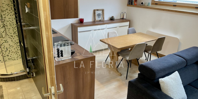 APPARTEMENT T2 UNIVERS,  CHAMONIX CENTRE