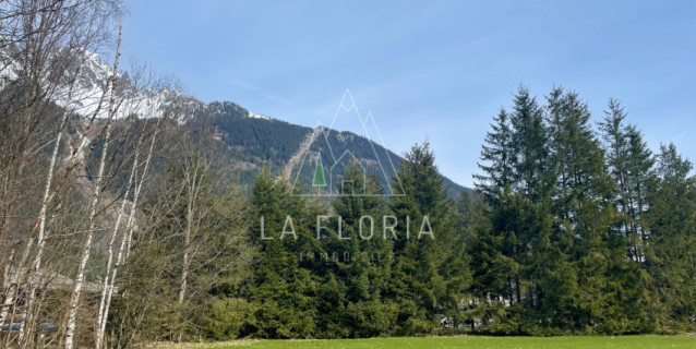 TERRAIN GAUDENAYS, CHAMONIX LES BOIS