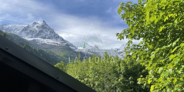 MAZOT ALPINA - CHAMONIX MONT BLANC