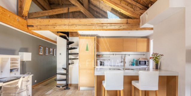 APPARTEMENT T2+MEZZANINE GENTIANE, VALLEE DE CHAMONIX