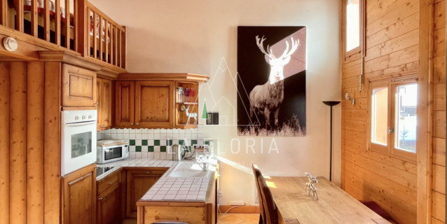 SOUS OFFRE / APPARTEMENT T2 MEZZANINE PETIT DRU, CHAMONIX LES PRAZ