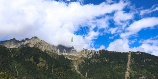SOUS COMPROMIS / CHALET LYARET - CHAMONIX LES PRAZ
