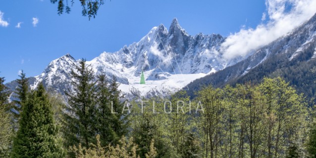 MAISON  COMBE LACHENAL, CHAMONIX