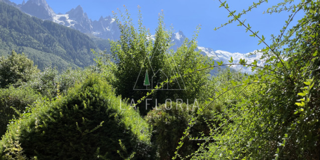 SOUS OFFRE / CHALET SURELLES - CHAMONIX LES PRAZ