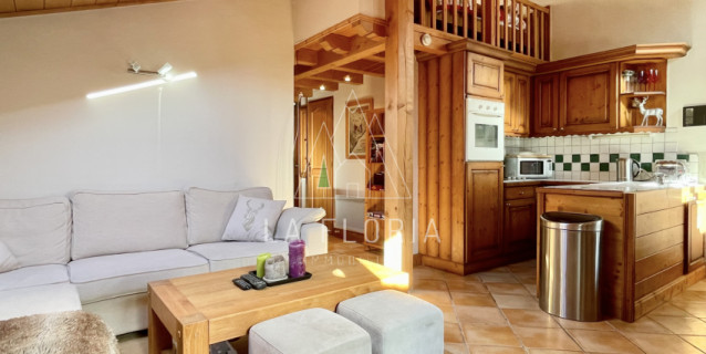 SOUS OFFRE / APPARTEMENT T2 MEZZANINE PETIT DRU, CHAMONIX LES PRAZ