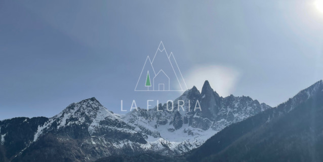 TERRAIN GAUDENAYS, CHAMONIX LES BOIS