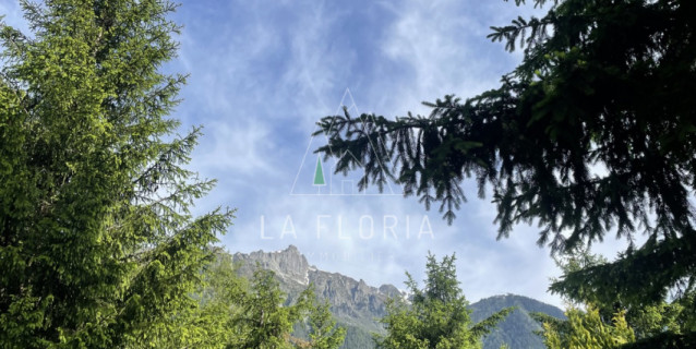 MAZOT ALPINA - CHAMONIX MONT BLANC
