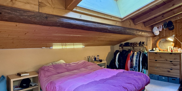 CHALET FRENES, CHAMONIX