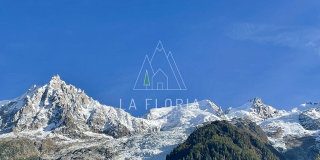 SOUS COMPROMIS DE VENTE  / APPARTEMENT T3 TETRAS, CHAMONIX