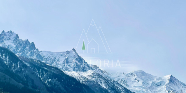 TERRAIN GAUDENAYS, CHAMONIX LES BOIS