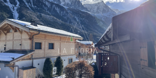 SOUS OFFRE / APPARTEMENT T2 MEZZANINE PETIT DRU, CHAMONIX LES PRAZ