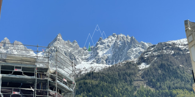 APPARTEMENT ROCHE, CHAMONIX CENTRE