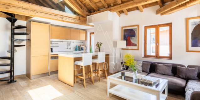 APPARTEMENT T2+MEZZANINE GENTIANE, VALLEE DE CHAMONIX
